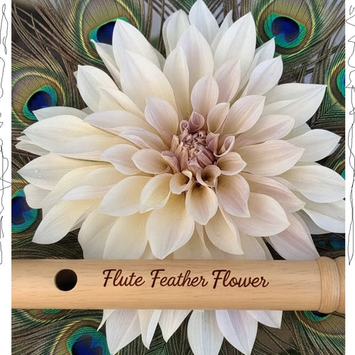 Flute Feather Flower